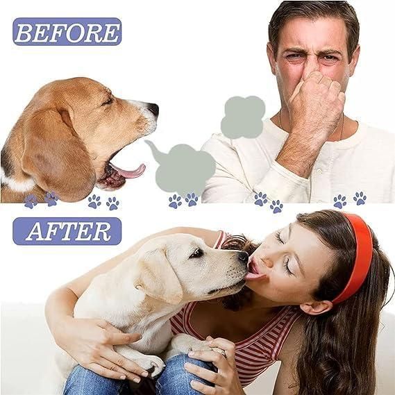 Pet Oral Care Spray 50ml Pack of 1